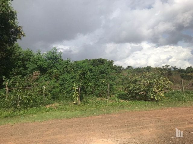 Foto do Terreno - Terreno plano com 7 lotes conjugados, Residencial Oliveira I, próximo à Base Aérea, 8.000m², Bairro União, Campo Grande - MS | Romeu Imóveis