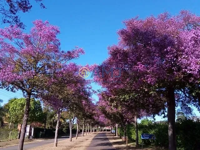 Terreno com 5000m², à venda, no bairro Condomínio Alto da Boa Vista em Senador Canedo