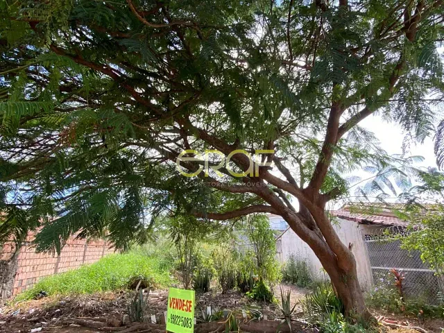 Terreno com 420m², à venda, no bairro Centro em Formosa
