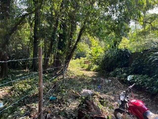 Foto do Terreno - Terreno à venda, 1640 m² por R$ 460.000,00 - Boiçucanga - São Sebastião/SP | INDEPENDENCE NEGOCIOS IMOBILIARIOS LTDA