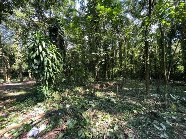 Foto do Terreno - Terreno à venda, 1640 m² por R$ 460.000,00 - Boiçucanga - São Sebastião/SP | INDEPENDENCE NEGOCIOS IMOBILIARIOS LTDA