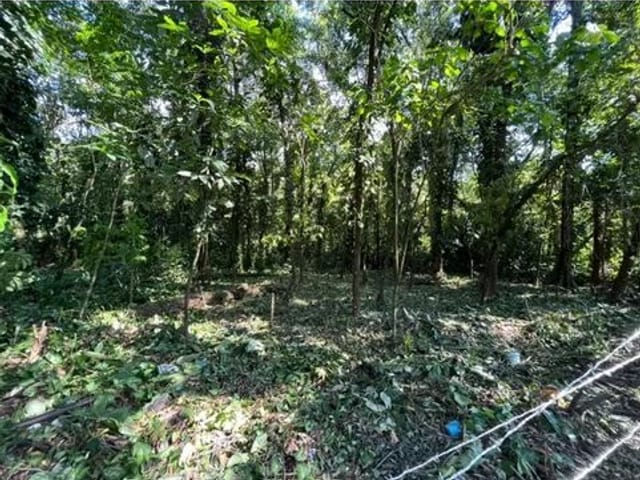 Foto do Terreno - Terreno à venda, 1640 m² por R$ 460.000,00 - Boiçucanga - São Sebastião/SP | INDEPENDENCE NEGOCIOS IMOBILIARIOS LTDA