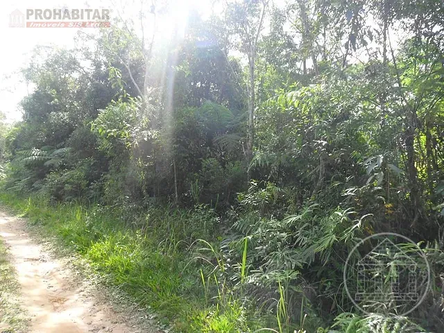 Terreno com 124000m², à venda, no bairro Cipó em Embu-Guaçu