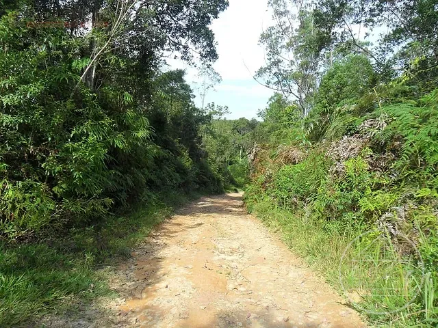 Terreno com 124000m², à venda, no bairro Cipó em Embu-Guaçu
