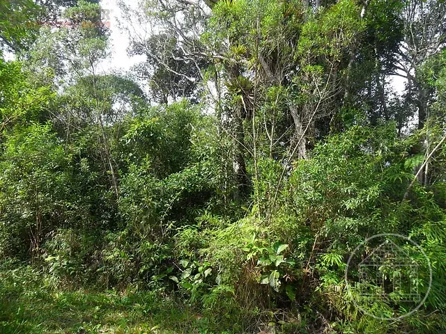 Terreno com 124000m², à venda, no bairro Cipó em Embu-Guaçu
