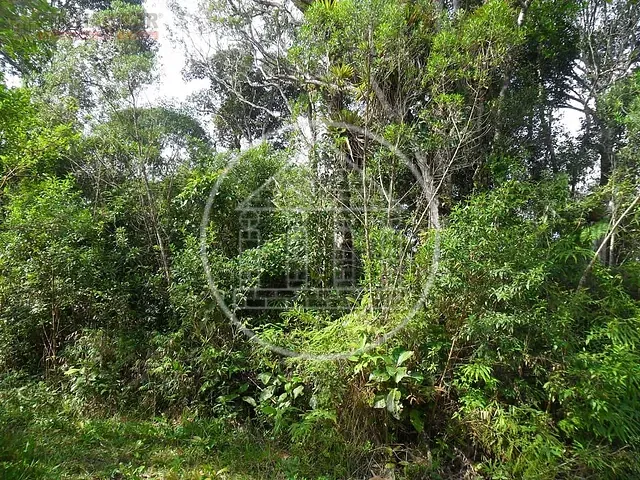 Terreno com 124000m², à venda, no bairro Cipó em Embu-Guaçu