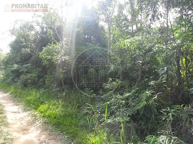Terreno com 124000m², à venda, no bairro Cipó em Embu-Guaçu