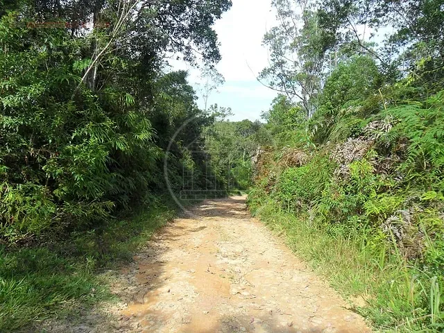 Terreno com 124000m², à venda, no bairro Cipó em Embu-Guaçu