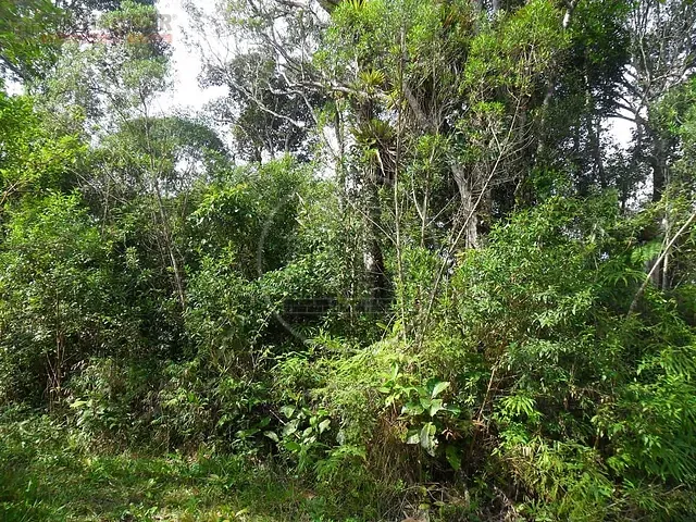Terreno com 124000m², à venda, no bairro Cipó em Embu-Guaçu