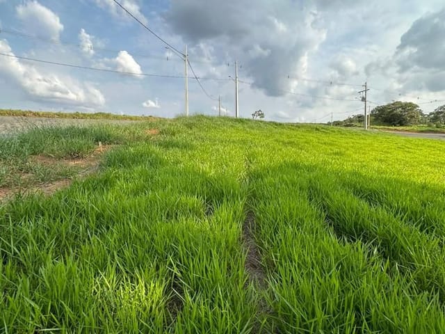 Terreno com 215m², à venda, no bairro Mirante Do Matão em Extrema