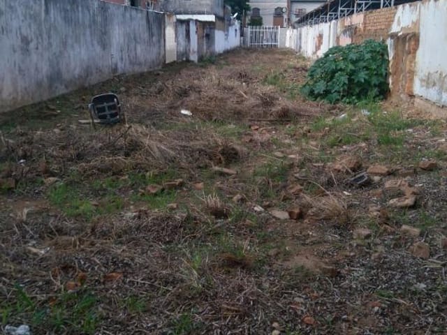 Foto do Terreno - Terreno à venda, 557 m² - Centro | CELESTE SERVICOS DE IMOBILIARIA E CORRETORA DE SEGUROS LTDA
