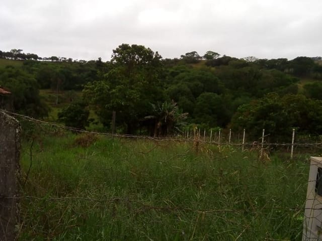 Terreno com 1600m², à venda, no bairro Nunes de Baixo em Cambuí