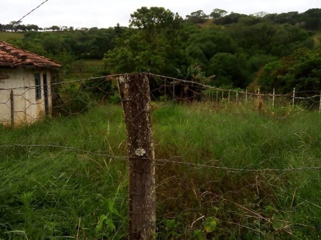 Terreno com 1600m², à venda, no bairro Nunes de Baixo em Cambuí