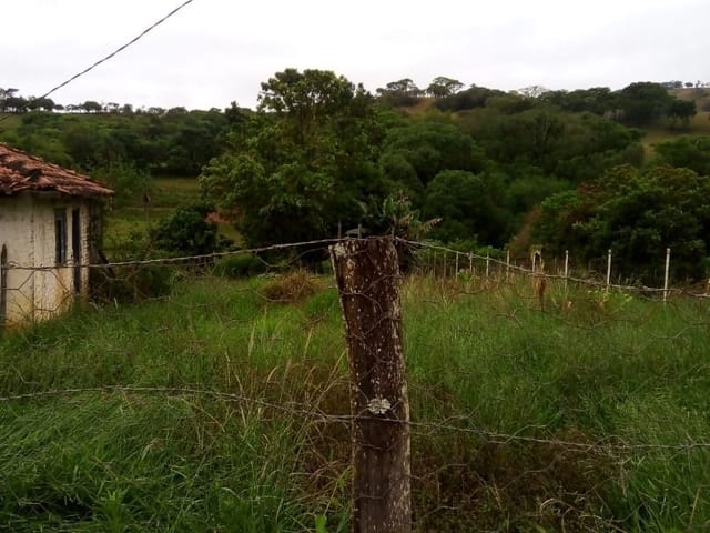 Terreno com 1600m², à venda, no bairro Nunes de Baixo em Cambuí