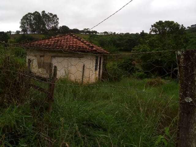 Terreno com 1600m², à venda, no bairro Nunes de Baixo em Cambuí
