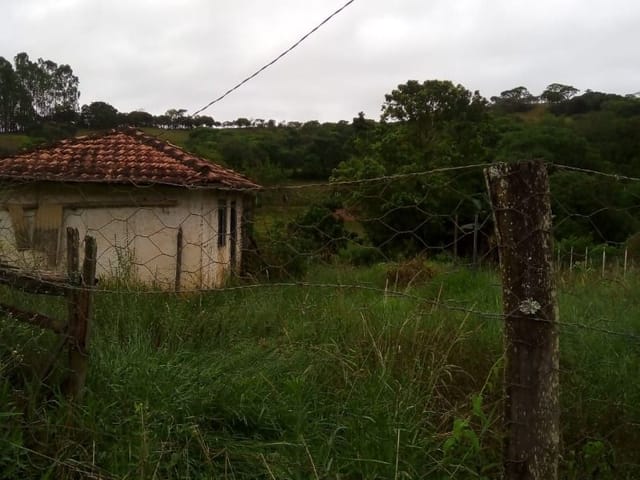Terreno com 1600m², à venda, no bairro Nunes de Baixo em Cambuí