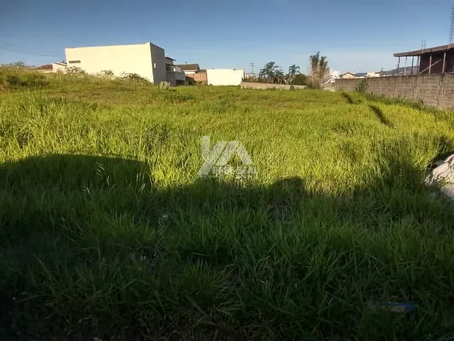 Terreno com 36000m², à venda, no bairro Vila Ageo em Jacarezinho