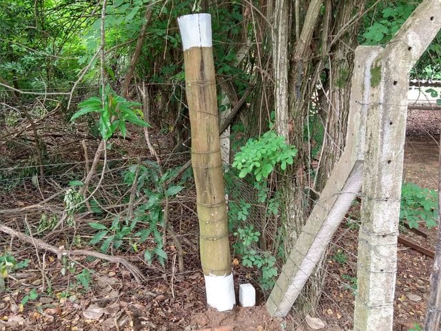 Terreno com 18000m², à venda, no bairro Chácara das Mansões em Campo Grande