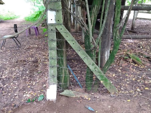 Terreno com 18000m², à venda, no bairro Chácara das Mansões em Campo Grande