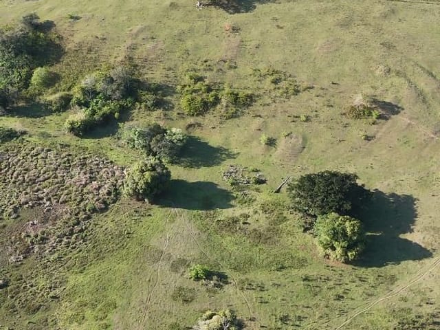 Terreno com 163000m², à venda, no bairro Virgem Santa em Macaé