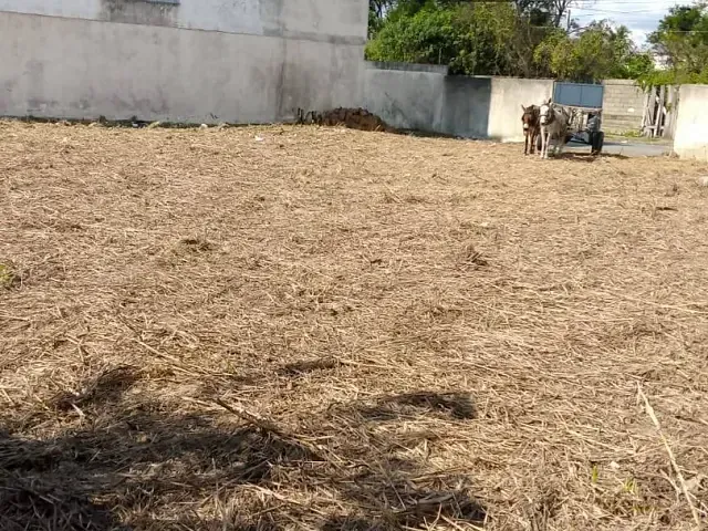 Terreno com 371m², à venda, no bairro Parque Santo Antônio em Campos dos Goytacazes