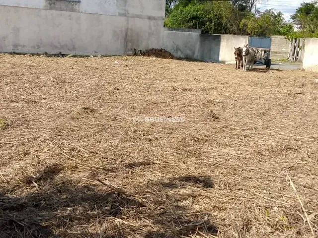 Terreno com 371m², à venda, no bairro Parque Santo Antônio em Campos dos Goytacazes