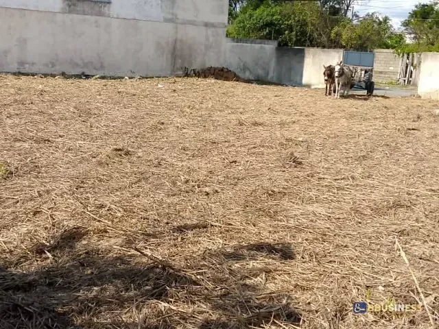 Terreno com 371m², à venda, no bairro Parque Santo Antônio em Campos dos Goytacazes