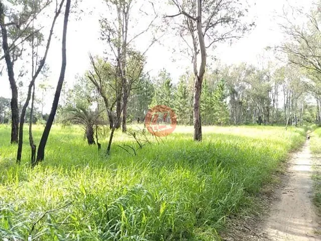 Terreno com 35982m², à venda, no bairro Restinga em Porto Alegre