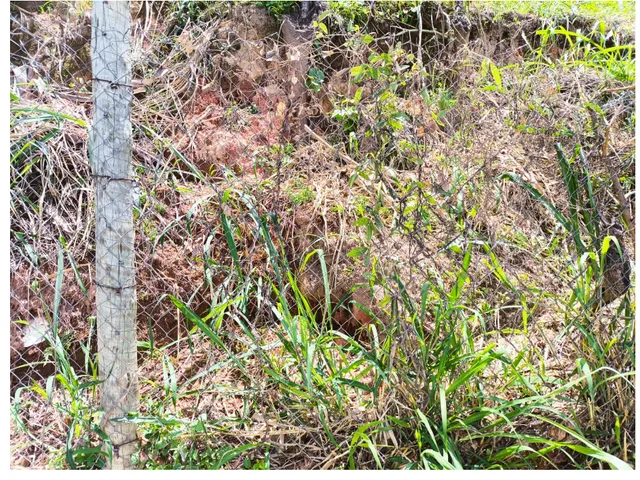 Terreno com 360m², à venda, no bairro Engenho Nogueira em Belo Horizonte