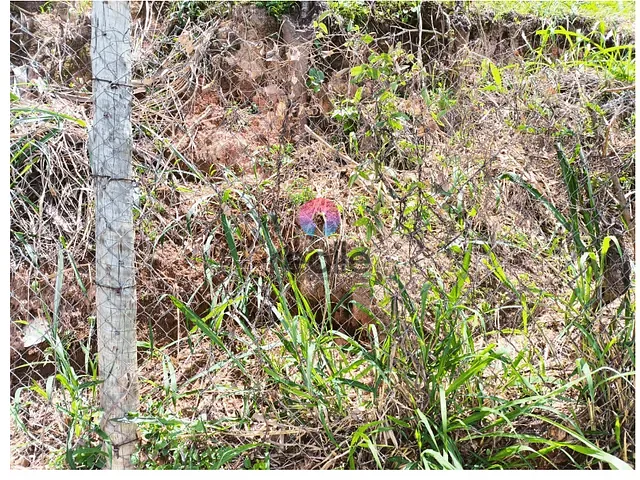 Terreno com 360m², à venda, no bairro Engenho Nogueira em Belo Horizonte