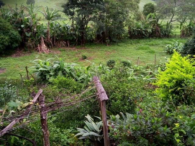 Terreno com 12000m², à venda, no bairro Grotinha em Cambuí