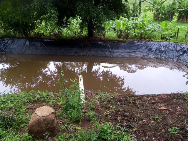 Terreno com 12000m², à venda, no bairro Grotinha em Cambuí