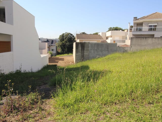 Terreno com 550m², à venda, no bairro Oficinas em Ponta Grossa