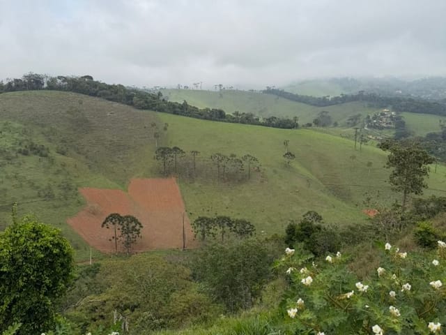 Terreno com 1009m², à venda, no bairro Santo Antônio Do Pinhal em Santo Antônio do Pinhal
