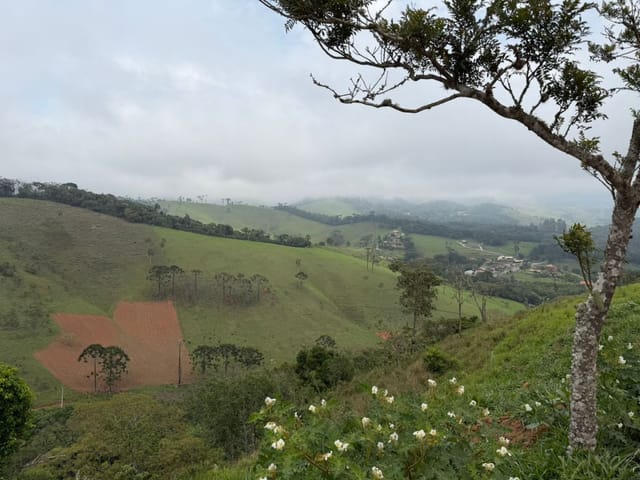 Terreno com 1009m², à venda, no bairro Santo Antônio Do Pinhal em Santo Antônio do Pinhal