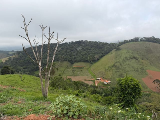 Terreno com 1009m², à venda, no bairro Santo Antônio Do Pinhal em Santo Antônio do Pinhal