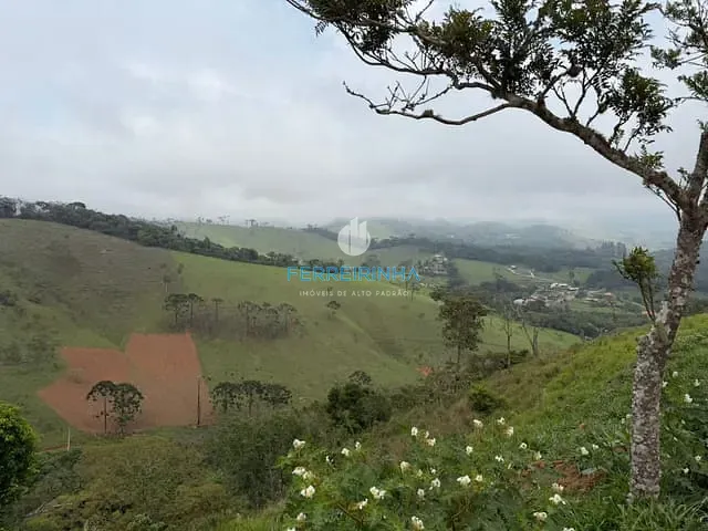 Terreno com 1009m², à venda, no bairro Santo Antônio Do Pinhal em Santo Antônio do Pinhal