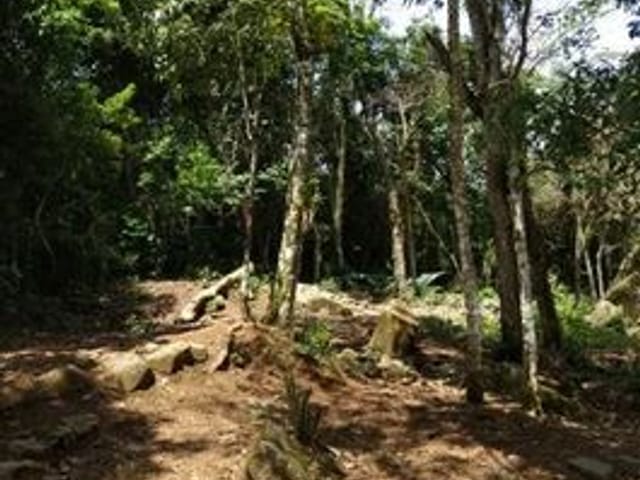 Foto do Terreno - Área à venda, 3000 m² por R$ 950.000,00 - Simão - Ilhabela/SP | INDEPENDENCE NEGOCIOS IMOBILIARIOS LTDA