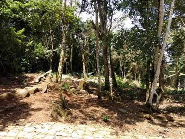 Foto do Terreno - Área à venda, 3000 m² por R$ 950.000,00 - Simão - Ilhabela/SP | INDEPENDENCE NEGOCIOS IMOBILIARIOS LTDA