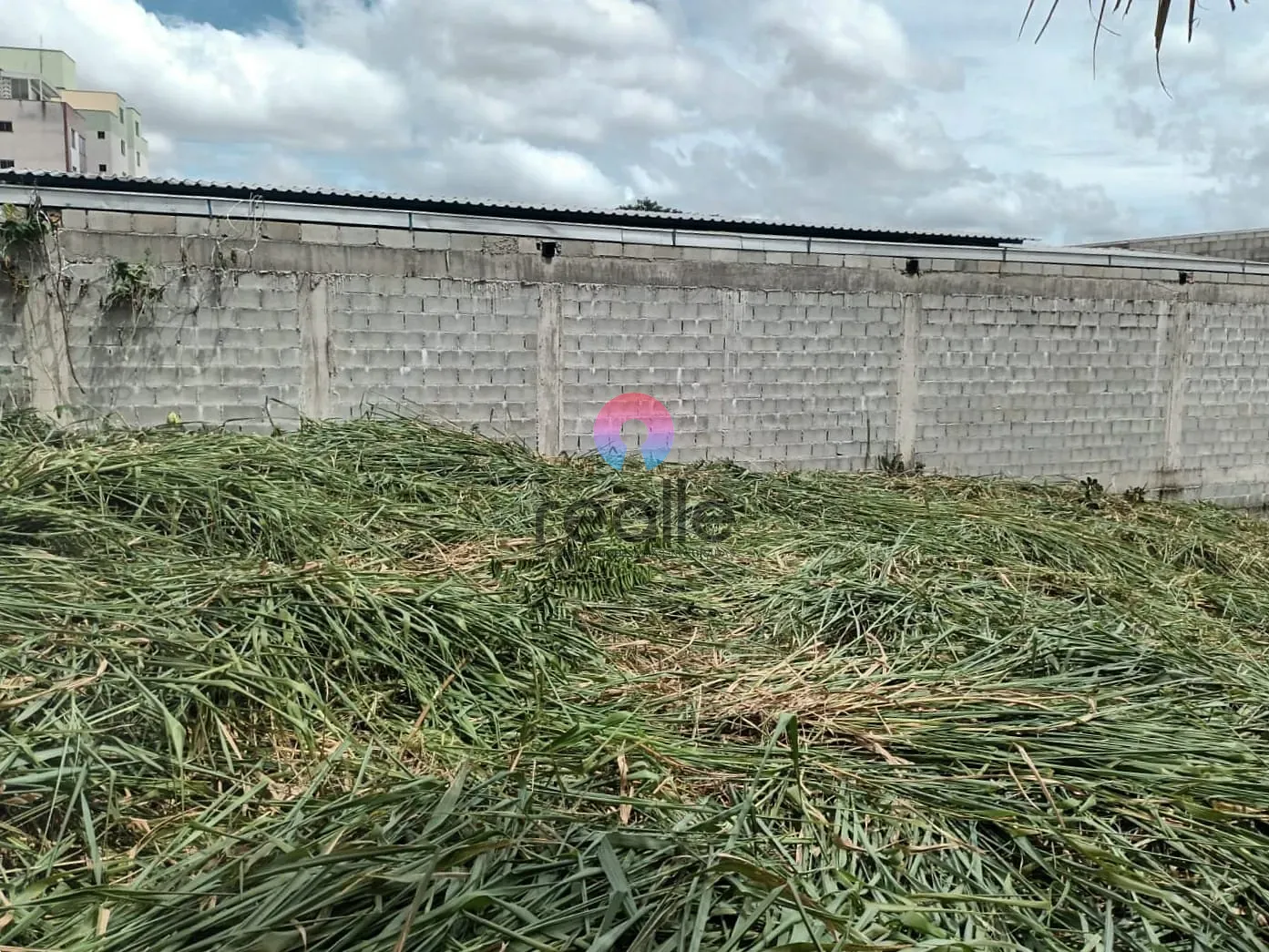 Terreno, 371 m² - Foto 6