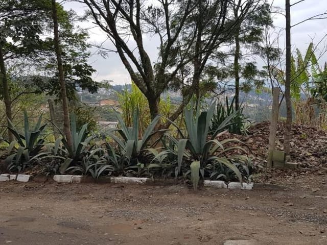 Terreno com 1489m², à venda, no bairro Parque Rizzo em Cotia