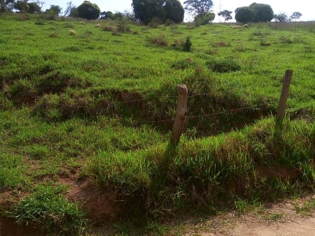 Terreno com 24000m², à venda, no bairro Nunes de Cima em Cambuí