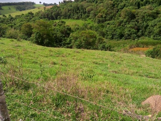 Terreno com 24000m², à venda, no bairro Nunes de Cima em Cambuí