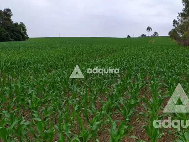 Terreno com 213356m², à venda, no bairro Guaragi em Ponta Grossa