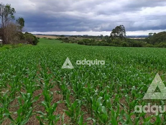 Terreno com 213356m², à venda, no bairro Guaragi em Ponta Grossa