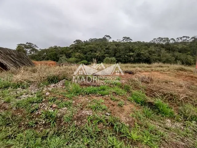 Terreno com 2539m², à venda, no bairro rural em São Pedro de Alcântara