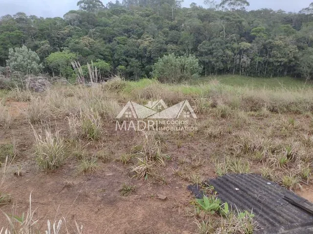 Terreno com 2539m², à venda, no bairro rural em São Pedro de Alcântara
