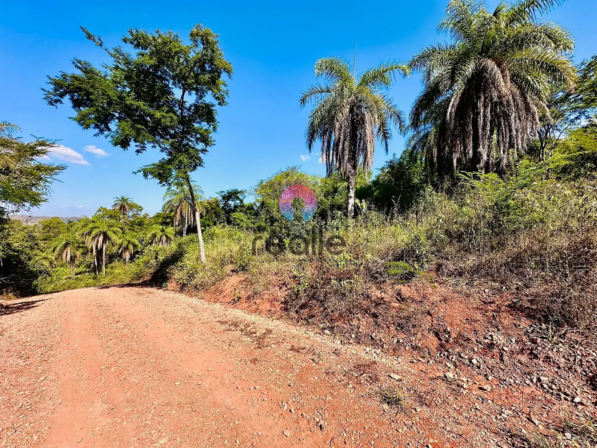 Terreno, 2 hectares - Foto 10
