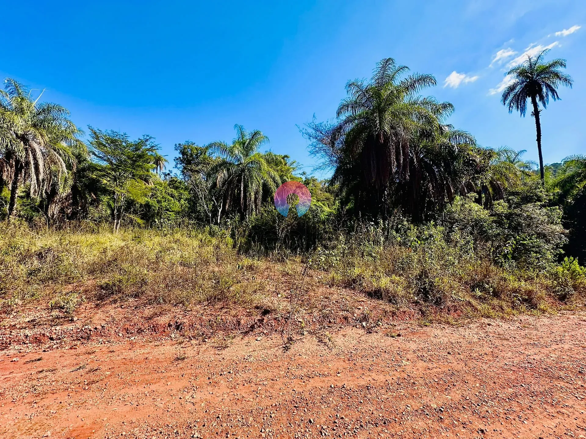 Terreno, 2 hectares - Foto 11