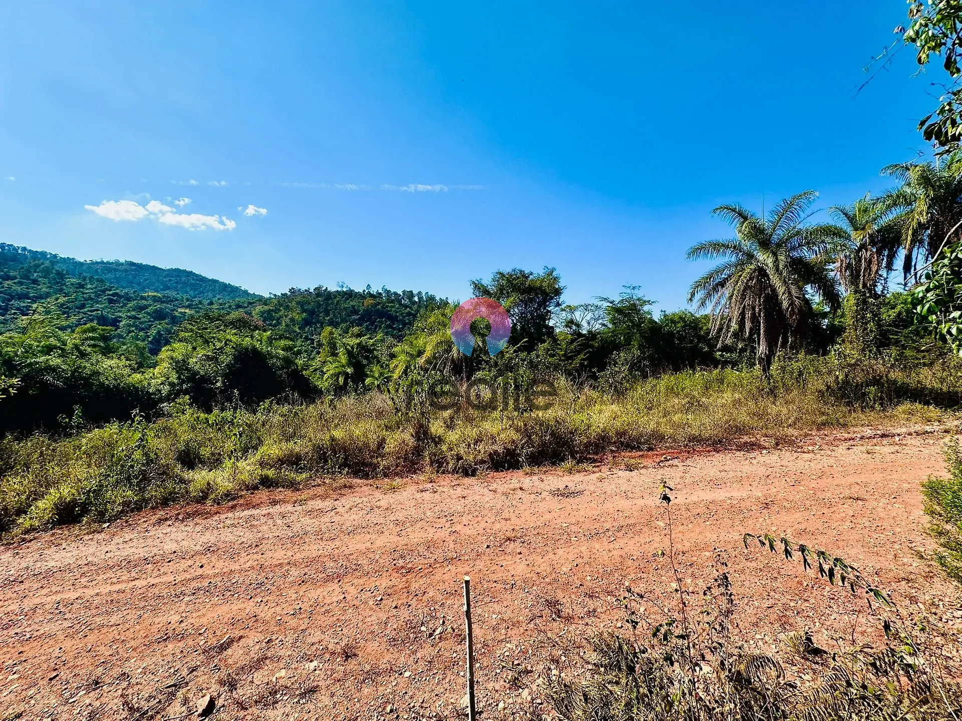 Terreno, 2 hectares - Foto 7